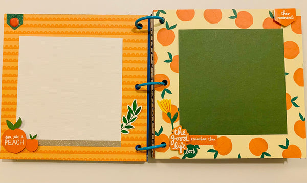 Premade Kid Scrapbook Photo Album
