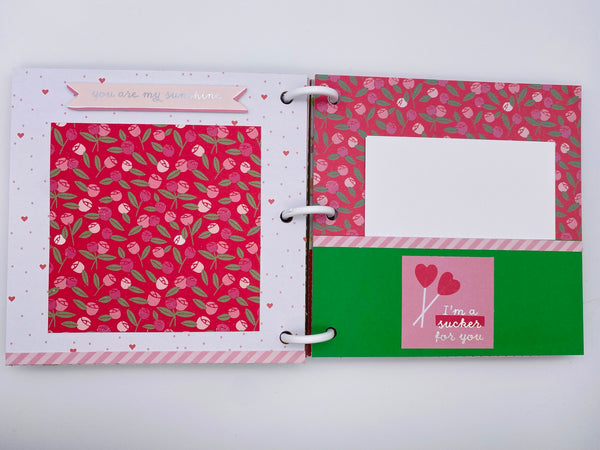 Premade Valentine Scrapbook Photo Album
